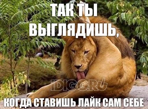Как самому себе ставить лайки