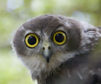 Картинки по запросу то чувство, когда жига тебя обгоняет