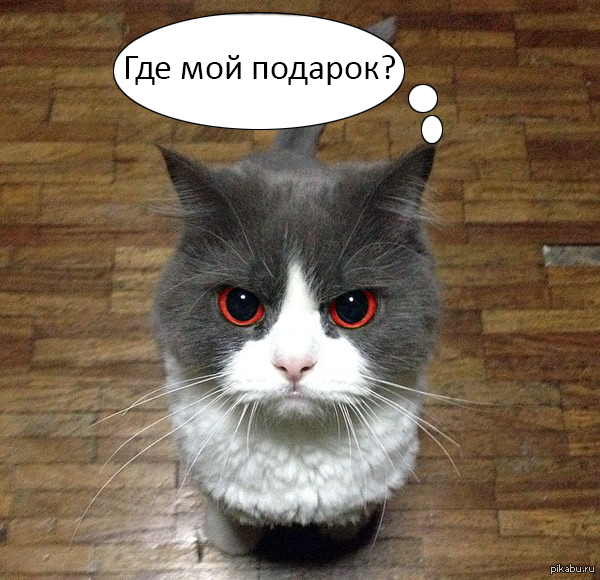 А где мой подарок фото 865