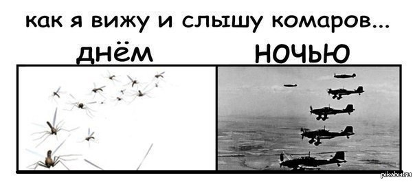 Комары днем или ночью Комары днем или ночью