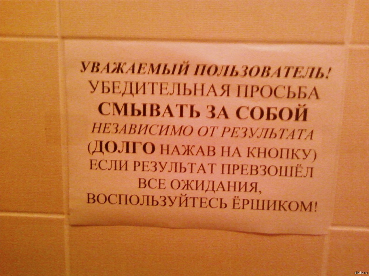 Студенка написала под дверь туалета 17 фото эротики