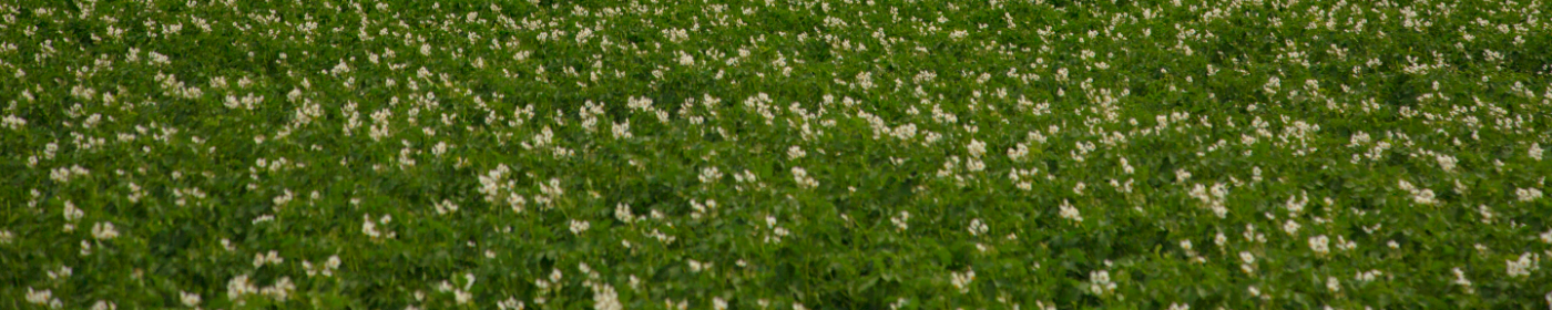 Pikabu banner for @Agriculture