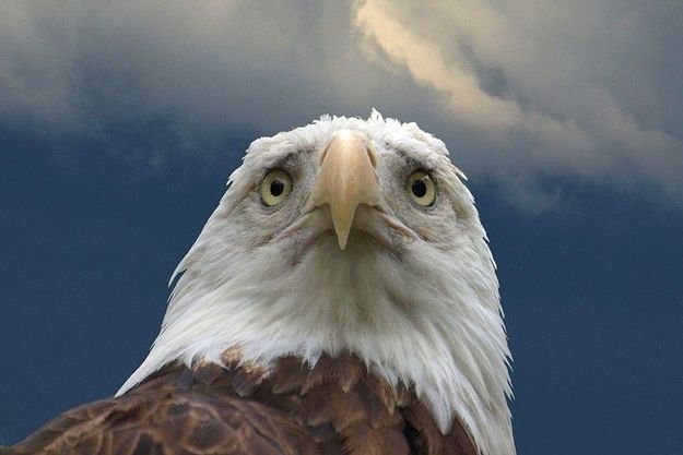 Посмеялся сам - поделись с другом!!!