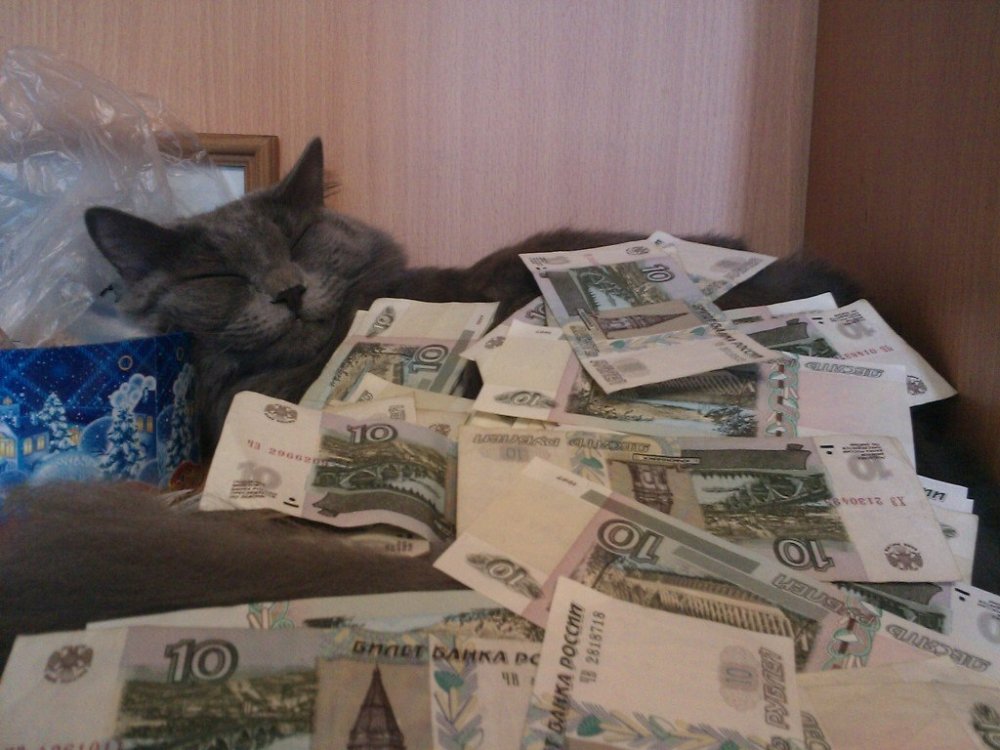 Мелочь, а приятно :3 | Пикабу