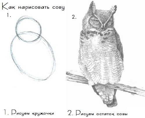 Нимб как рисовать