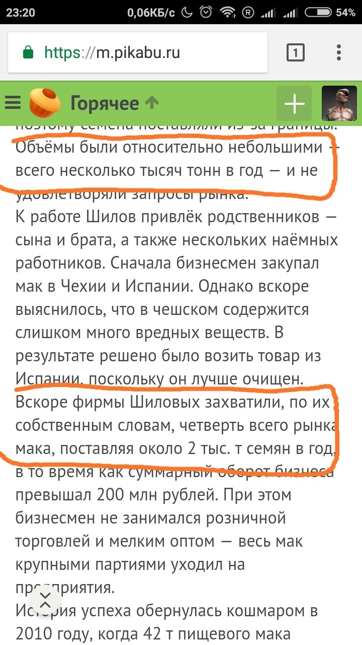 Московский бизнесмен рассказал, как его сделали «маковым наркобароном» |  Пикабу