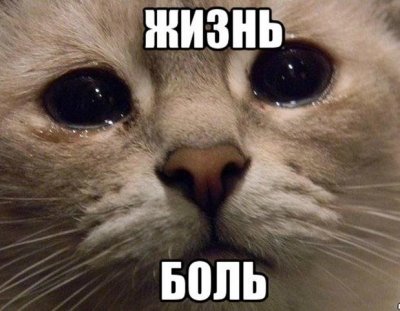 13941484144870.jpg