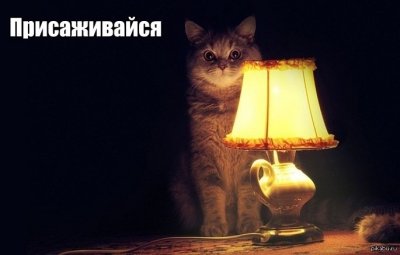 Иллюстрация к комментарию