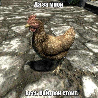 мем курица вас заметили. 1406304926531. мем курица вас заметили фото. мем курица вас заметили-1406304926531. картинка мем курица вас заметили. картинка 1406304926531. Я когда приехал в Штаты, уж 30 лет назад, мне объяснили ребята что nigger это не цвет кожи, а поведение, когда ему все должны, наглое и навязчивое. А ещё есть wiggers, white niggers, с таким же поведением. Нормальные чёрные, которых очень много, и бедные и богатые, разные, сами не любят niggers. Не так давно в Каролине, мне здоровый чёрный мужик, с мозолями на руках, сказал: вы из Калифорнии? У вас там ниггеры распоясались. Я их терпеть не могу. Из за них люди думают что все чёрные лентяи и воры. А это вовсе не так.
