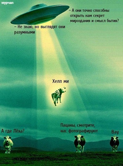 алло это убер уберите меня. Смотреть фото алло это убер уберите меня. Смотреть картинку алло это убер уберите меня. Картинка про алло это убер уберите меня. Фото алло это убер уберите меня