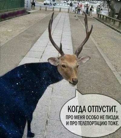 https://cs7.pikabu.ru/images/previews_comm/2017-11_3/151042366019227153.jpg