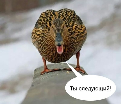 Èëëþñòðàöèÿ ê êîììåíòàðèþ