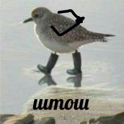кто ш буст в метро что это такое
