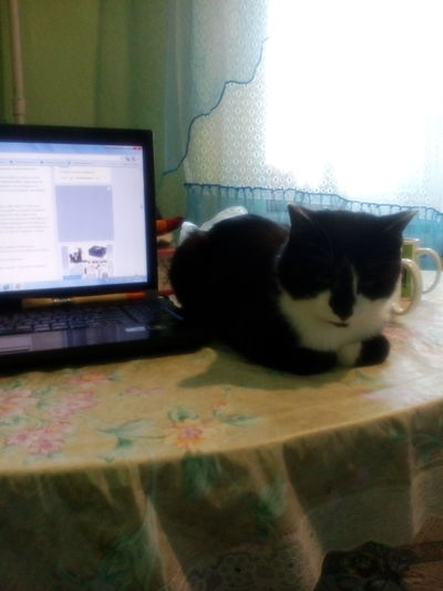 Иллюстрация к комментарию