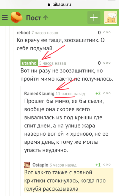 ����������� � �����������