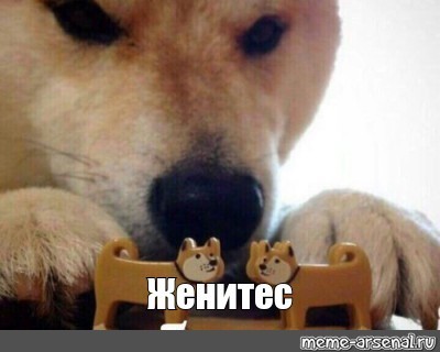 Без полумер что это значит. 1530105385161520523. Без полумер что это значит фото. Без полумер что это значит-1530105385161520523. картинка Без полумер что это значит. картинка 1530105385161520523.