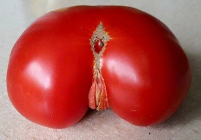 огурцы смайлики можно ли мариновать. Смотреть фото огурцы смайлики можно ли мариновать. Смотреть картинку огурцы смайлики можно ли мариновать. Картинка про огурцы смайлики можно ли мариновать. Фото огурцы смайлики можно ли мариновать
