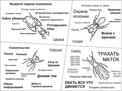 Что такое москиты и термиты. Смотреть фото Что такое москиты и термиты. Смотреть картинку Что такое москиты и термиты. Картинка про Что такое москиты и термиты. Фото Что такое москиты и термиты