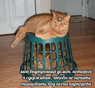 распростился я с юностью вешней но осталось похмелье. Смотреть фото распростился я с юностью вешней но осталось похмелье. Смотреть картинку распростился я с юностью вешней но осталось похмелье. Картинка про распростился я с юностью вешней но осталось похмелье. Фото распростился я с юностью вешней но осталось похмелье