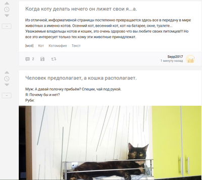 что делает кот когда ему нечего делать нечего. Смотреть фото что делает кот когда ему нечего делать нечего. Смотреть картинку что делает кот когда ему нечего делать нечего. Картинка про что делает кот когда ему нечего делать нечего. Фото что делает кот когда ему нечего делать нечего