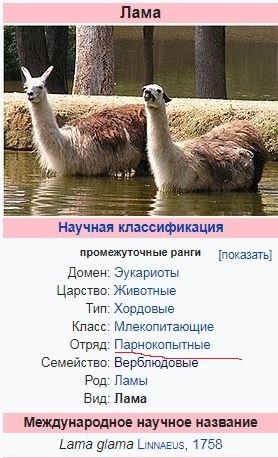 Иллюстрация к комментарию