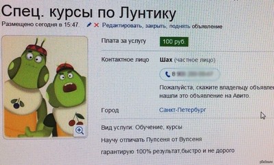 на кого похож лунтик в реальной жизни название. Смотреть фото на кого похож лунтик в реальной жизни название. Смотреть картинку на кого похож лунтик в реальной жизни название. Картинка про на кого похож лунтик в реальной жизни название. Фото на кого похож лунтик в реальной жизни название