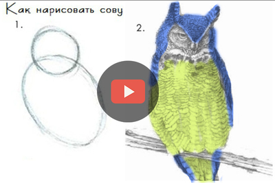 рисунок попугай на стене. Смотреть фото рисунок попугай на стене. Смотреть картинку рисунок попугай на стене. Картинка про рисунок попугай на стене. Фото рисунок попугай на стене