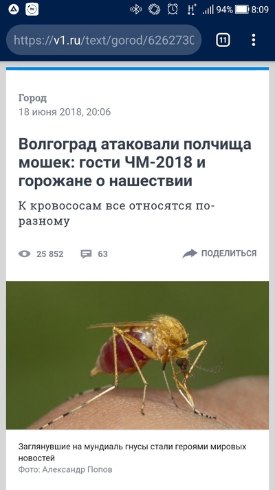 что означает нашествие насекомых. Смотреть фото что означает нашествие насекомых. Смотреть картинку что означает нашествие насекомых. Картинка про что означает нашествие насекомых. Фото что означает нашествие насекомых