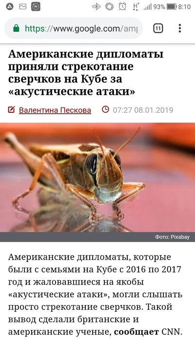 что означает нашествие насекомых. Смотреть фото что означает нашествие насекомых. Смотреть картинку что означает нашествие насекомых. Картинка про что означает нашествие насекомых. Фото что означает нашествие насекомых