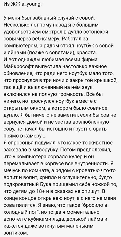 Иллюстрация к комментарию