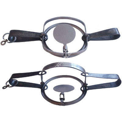 1565720416124914166 Как отучить кота таскать цыплят