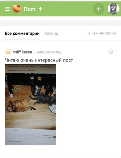 Кто чем занят картинки. Смотреть фото Кто чем занят картинки. Смотреть картинку Кто чем занят картинки. Картинка про Кто чем занят картинки. Фото Кто чем занят картинки
