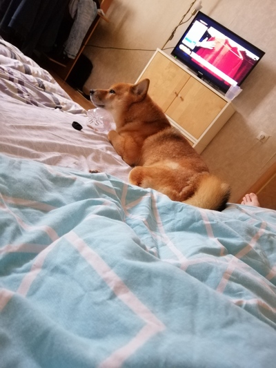 Иллюстрация к комментарию