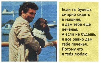не кричи на меня прикол. 1566998594121844330. не кричи на меня прикол фото. не кричи на меня прикол-1566998594121844330. картинка не кричи на меня прикол. картинка 1566998594121844330. 1. Чтобы разговаривать с Вами на одном уровне, мне надо лечь.