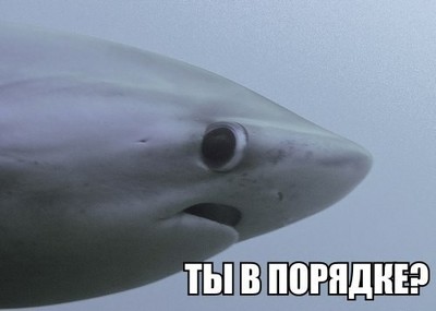 что в твоей голове картинка. 1567287571134825685. что в твоей голове картинка фото. что в твоей голове картинка-1567287571134825685. картинка что в твоей голове картинка. картинка 1567287571134825685.