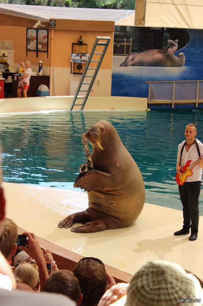 ������������ ����, �������� �� ���������.