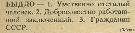 Быдло определение. Я русский человек а ты советское. Слово быдло-что означает слово. Тупые советские люди.