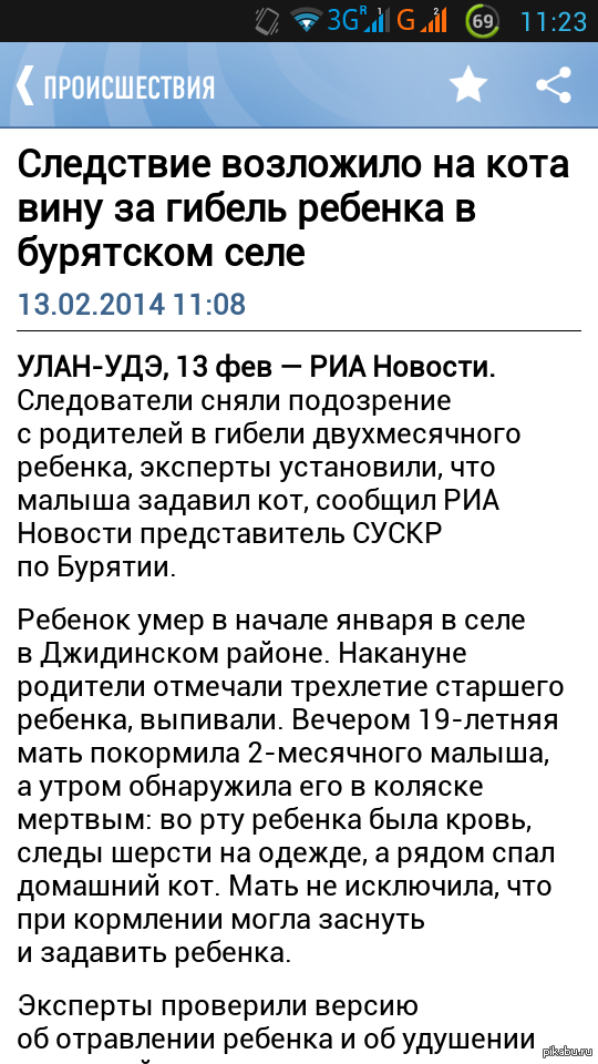 from RIA news - My, Риа Новости, cat, Incident, Police