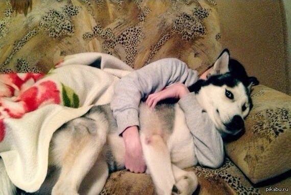 Неподвластный френдзоне