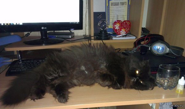 Вот так я сижу за компом.