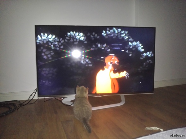 ������ ��� ��� ������� "��� ��� ���"