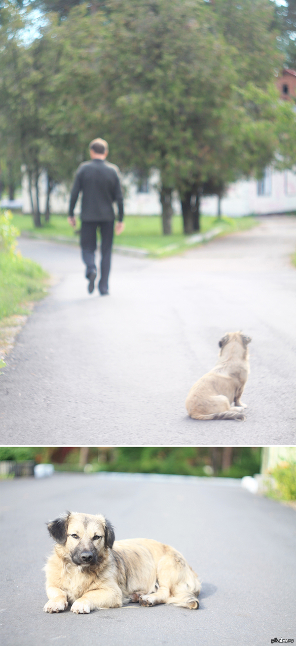 ���� �� ���� "������"