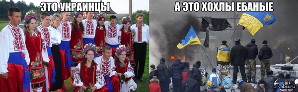 ������ ��������