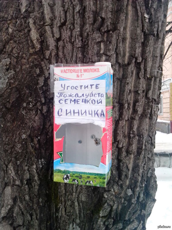 Не забывайте про пернатых в морозы.