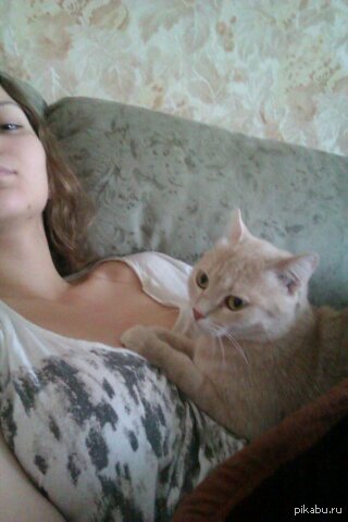 Котейка подзабыла меня