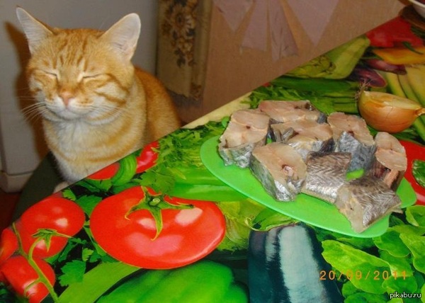 ������, ���������, � ��� ������� ������