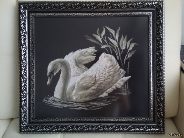 ����-�����, ������ ����� �� ������ )