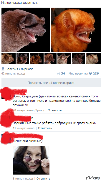 ��� �������!