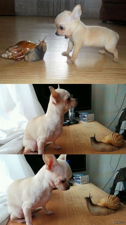 ��� ����� ������� ^^