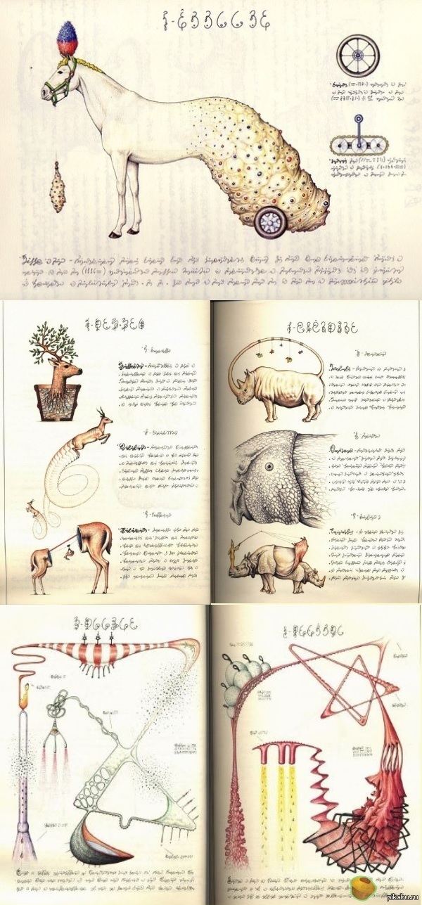 Codex Seraphinianus - ����� �������� �����.